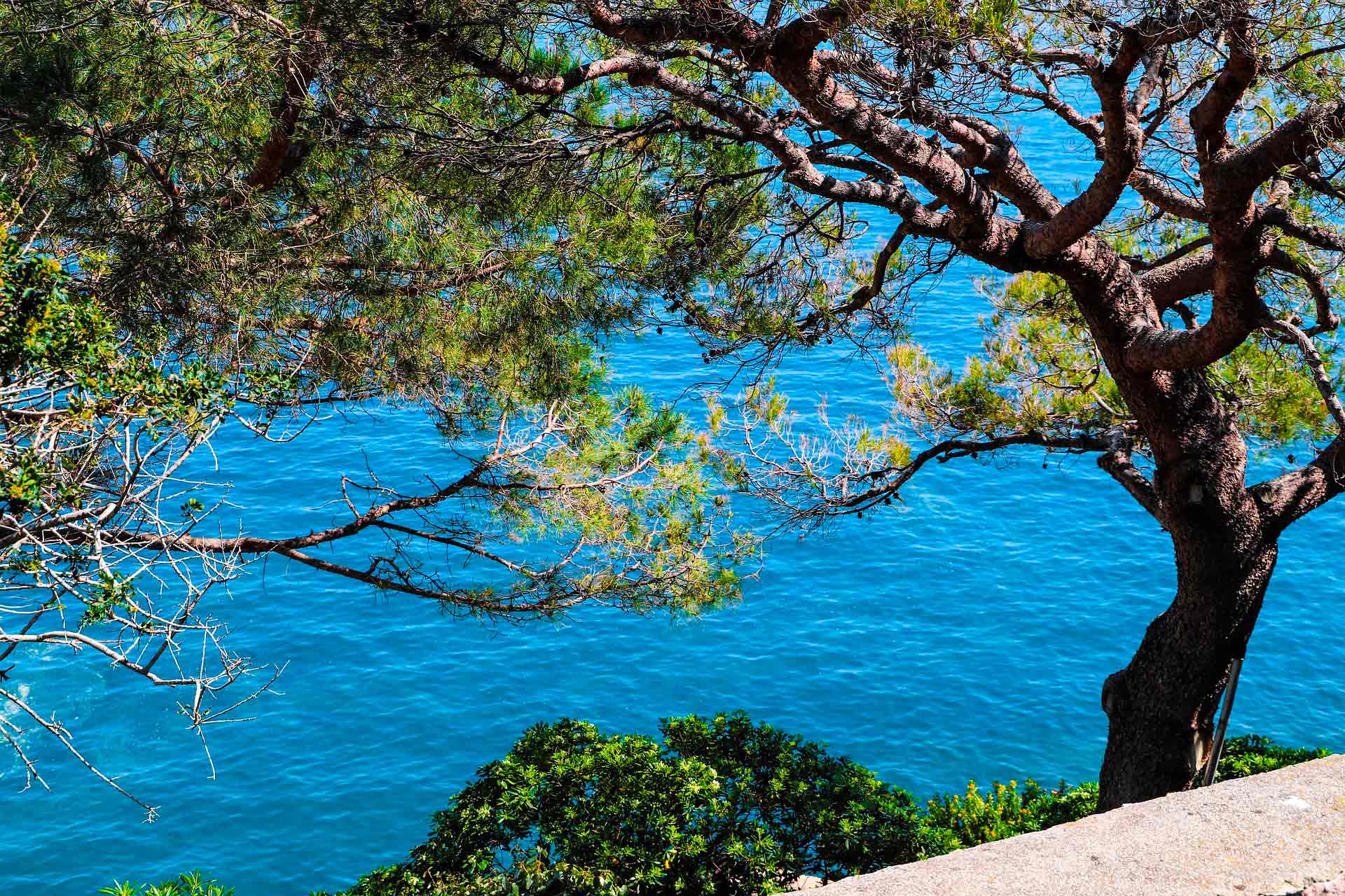 rent a luxury villa on the French Riviera